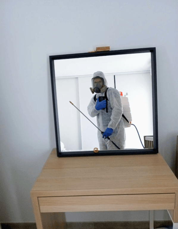 Désinsectisation et désinfection