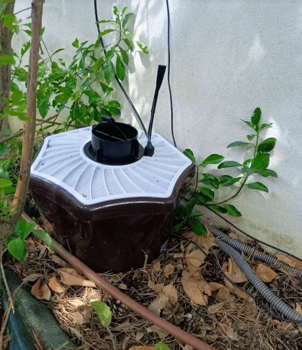 Piégeage de moustiques dans un jardin